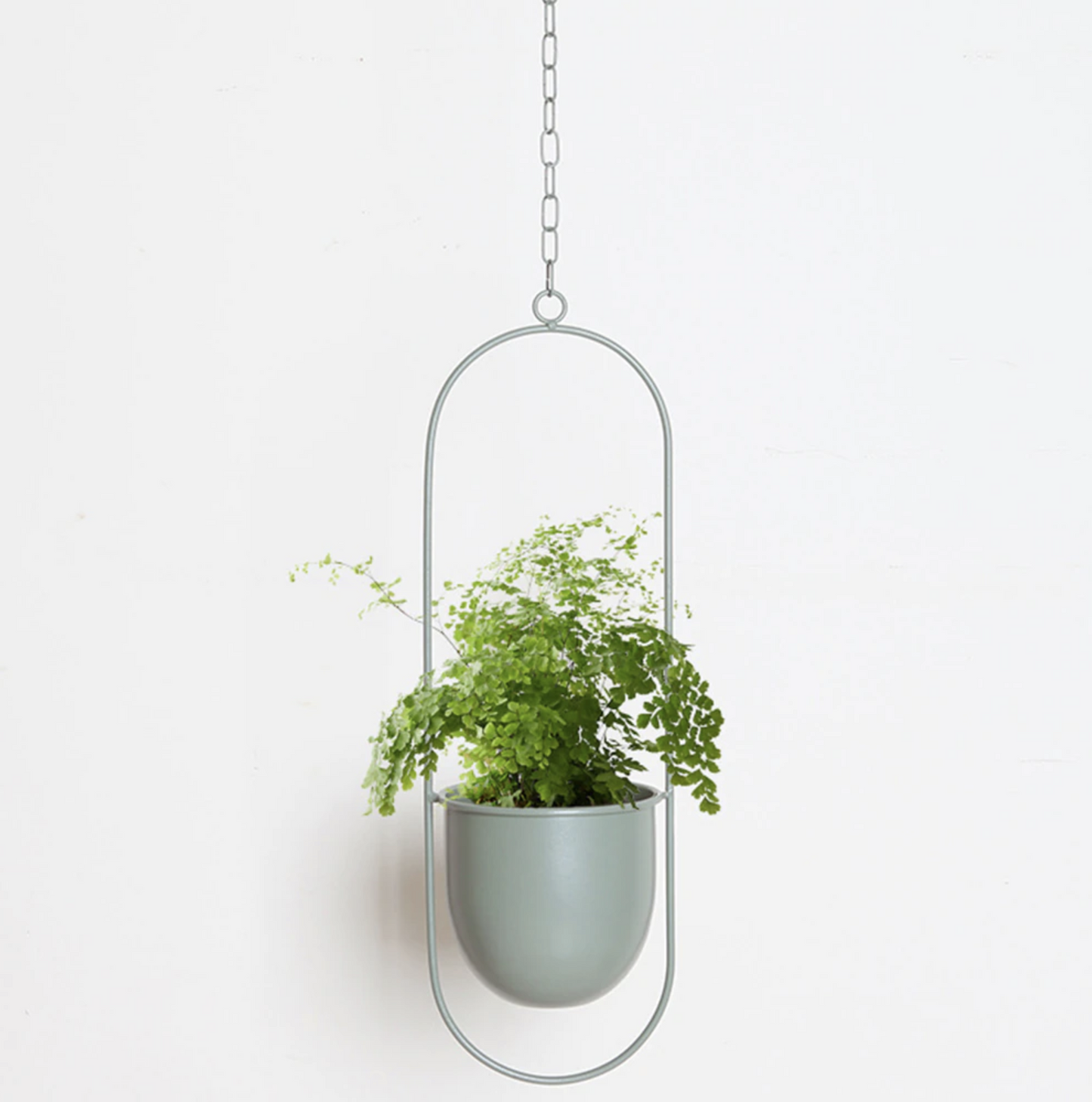 Moderne Minimalistische Plantenhanger van IJzer met Aanpasbare Hangketting – Perfect voor Muurdecoratie 4