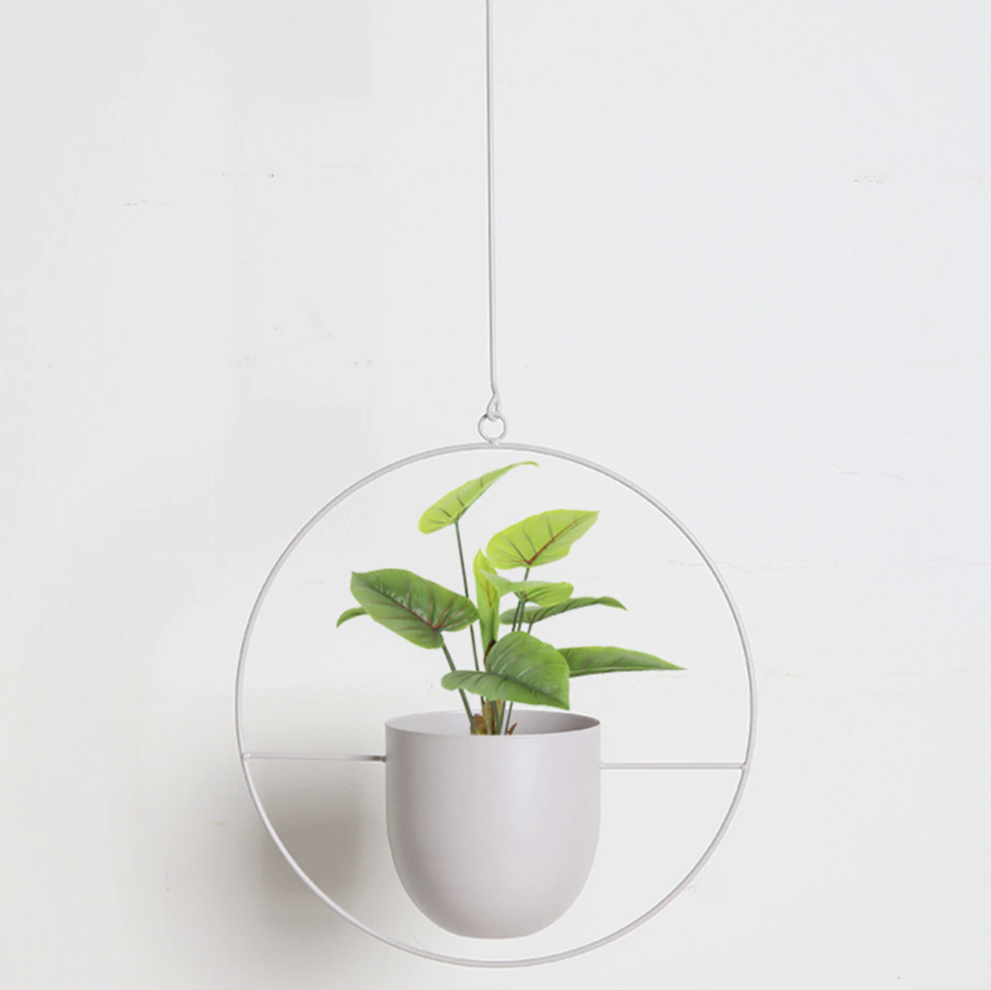 Moderne Minimalistische Plantenhanger van IJzer met Aanpasbare Hangketting – Perfect voor Muurdecoratie 5