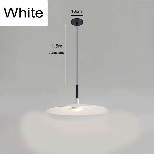Scandinavische Hanglamp van Metaal in 5 Kleuren – Stijlvolle Verlichting voor Elk Interieur 6