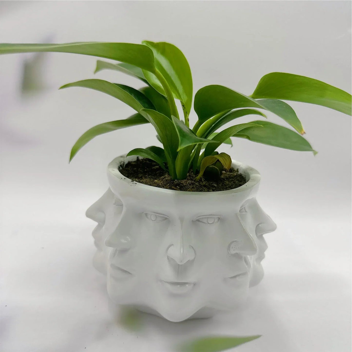 3D Gezicht Bloempot Binnen - Artistieke Bloempot voor Planten en Bloemen, Hoogwaardig en Duurzaam Design 1