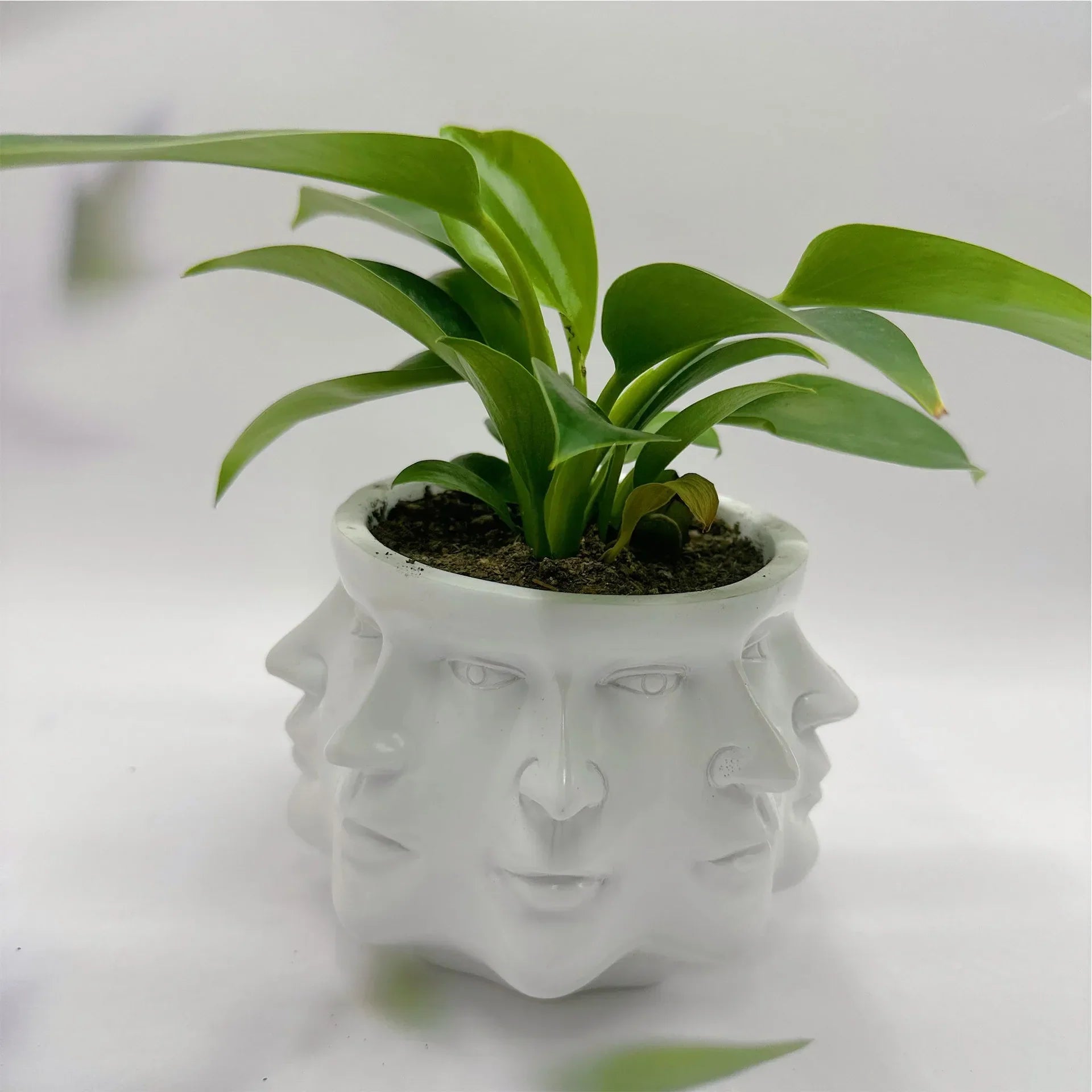 3D Gezicht Bloempot Binnen - Artistieke Bloempot voor Planten en Bloemen, Hoogwaardig en Duurzaam Design 1