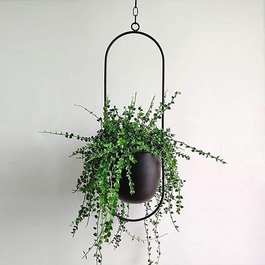 Moderne Minimalistische Plantenhanger van IJzer met Aanpasbare Hangketting – Perfect voor Muurdecoratie 0