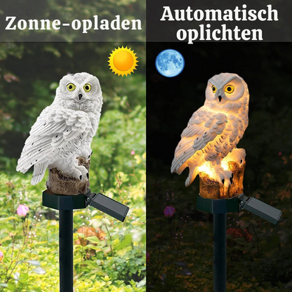 Solar Uilenlamp 2-Pack met LED Verlichting en IP65 Waterdicht